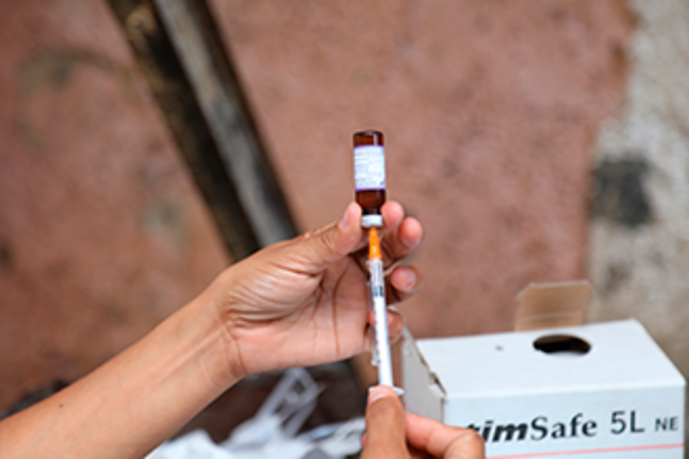 Imunização e segurança das vacinas