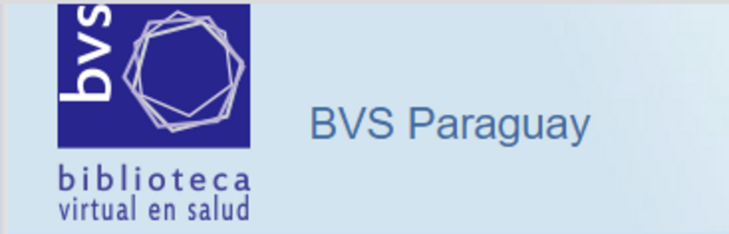 Paraguay Holds The First National Meeting Of The Paraguay VHL PAHO   Bvs Py 