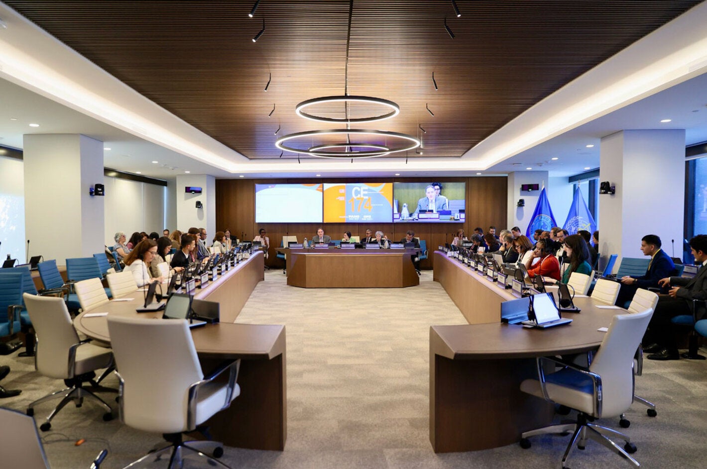 Sala con los participantes de la 174ª Sesión del Comité Ejecutivo