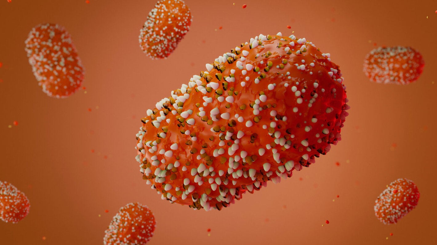 Mpox virus cell 3D structure member of the Orthopoxvirus genus in the family Poxviridae