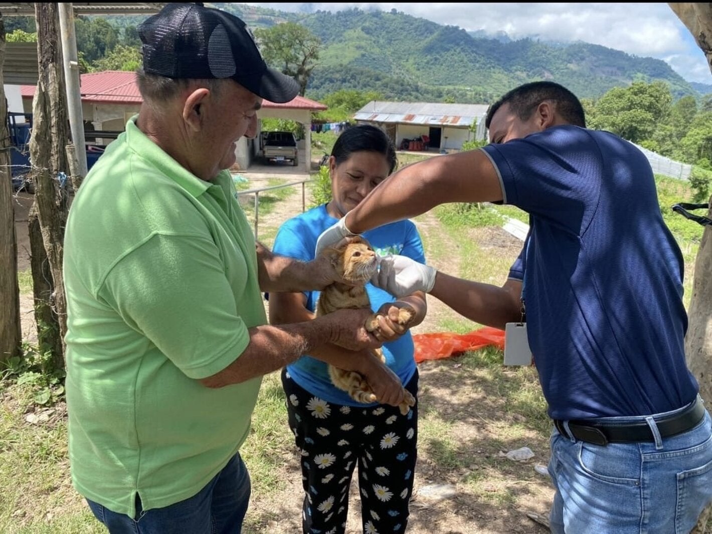 personal de salud vacunando a un gato