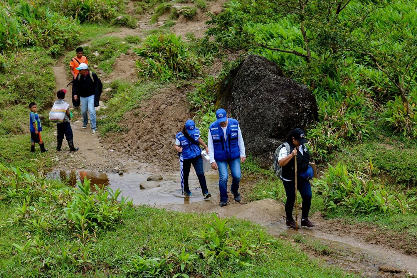 paho staff in the field