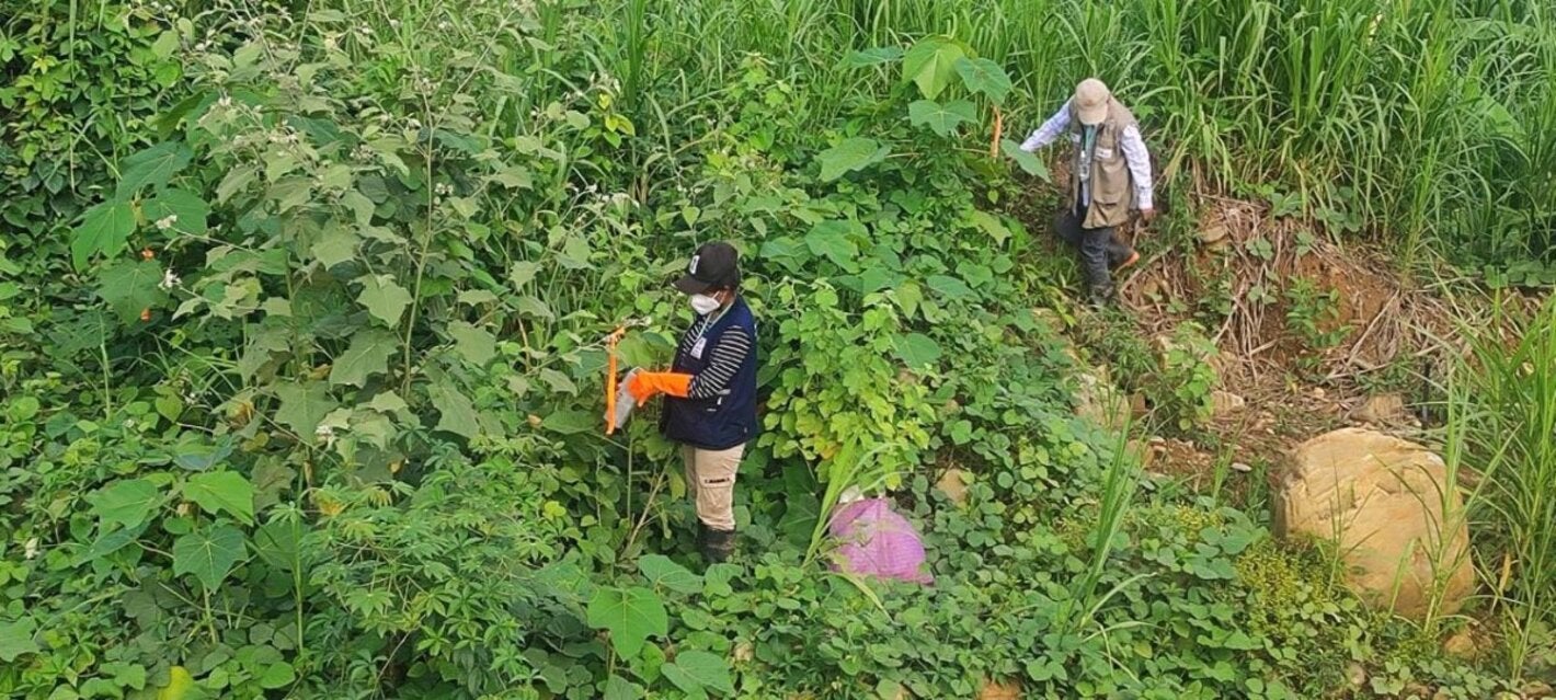 personal en terreno