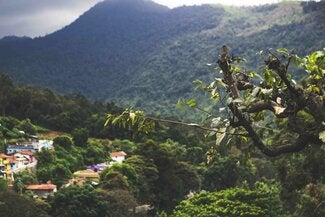 Panorama con montanas. Rama de árbol con ciudad entre motanas detrás.