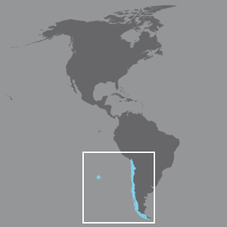 View Mapa Chile Png Sin Fondo PNG