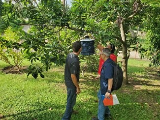 Trabajo de campo durante misión de OROV en Cuba