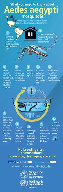 Caribbean Mosquito Awareness Week 2017: Infographic. What you need to ...