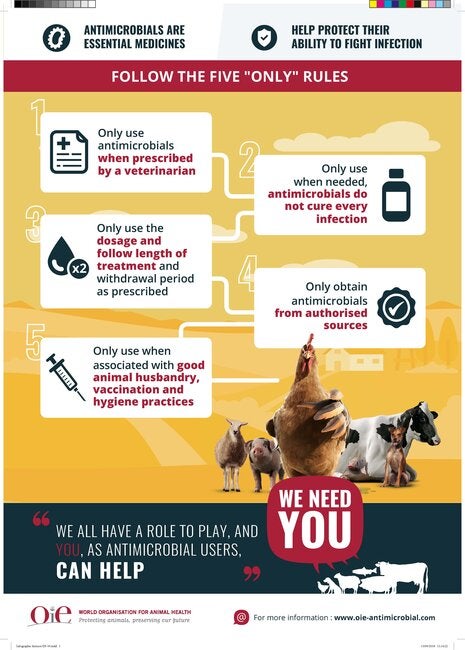 World Antibiotic Awareness Week 2018: Farmers - Infographic (JPG ...