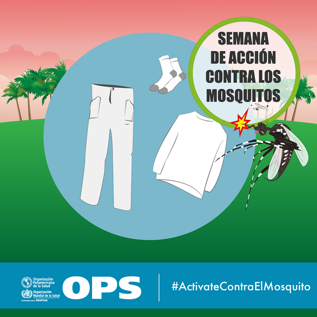 Semana de acción contra los mosquitos 2018-2019: Postal para redes sociales  - Vestimenta adecuada - OPS/OMS | Organización Panamericana de la Salud