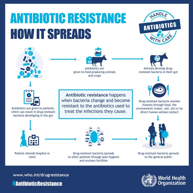 Who Pack Of Infographics About The World Antibiotic Awareness Week