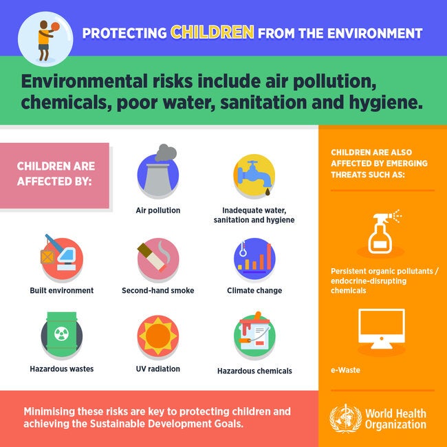 Infographic (web). Environmental Risks Includes Air Pollution; 2017 