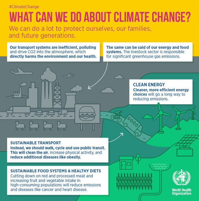 What can we do about climate change and air pollution? - PAHO/WHO | Pan ...