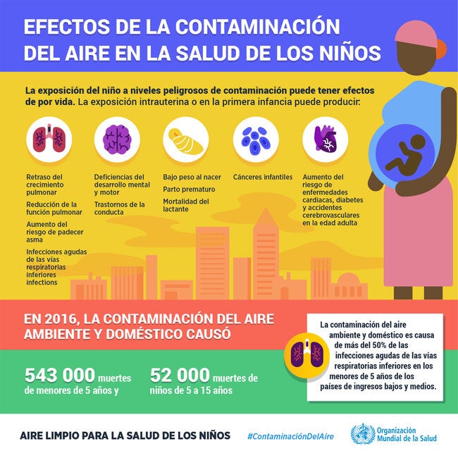 Infografía. Efectos De La Contaminación Del Aire En La Salud De Los ...