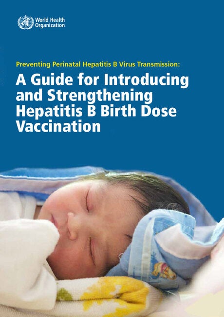 Preventing Perinatal Hepatitis B Virus Transmission: A Guide For ...