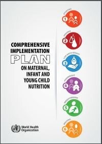 Comprehensive Implementation Plan On Maternal, Infant And Young Child ...