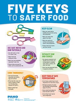 Banner 5 Keys food safety - PAHO/WHO | Pan American Health Organization