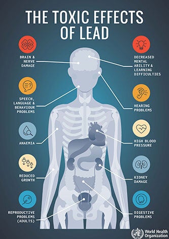 Infographic: The toxic effects of lead - PAHO/WHO | Pan American