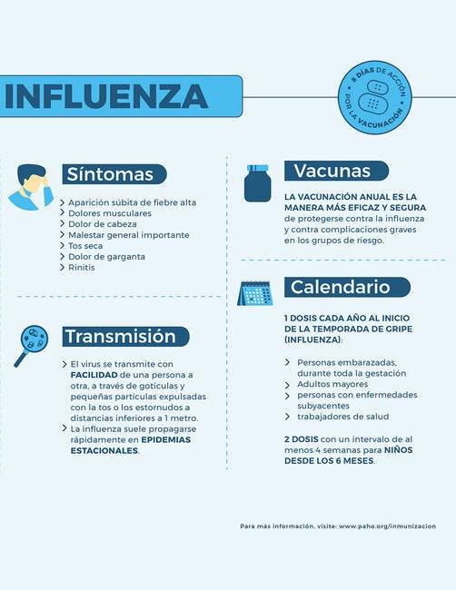 Enfermedades Prevenibles Por Vacunación: Influenza - OPS/OMS ...