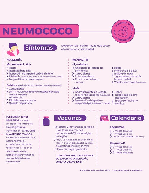 Infograf A Enfermedades Prevenibles Por Vacunaci N Neumococo OPS   Neumococo Paho Vacunacion Epv Thumb 