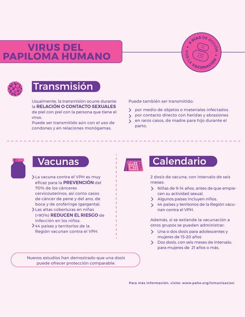 Enfermedades Prevenibles Por Vacunación: Virus Del Papiloma Humano ...