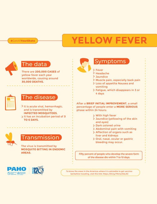 Vaccine Preventable Diseases: Yellow Fever - PAHO/WHO | Pan American ...