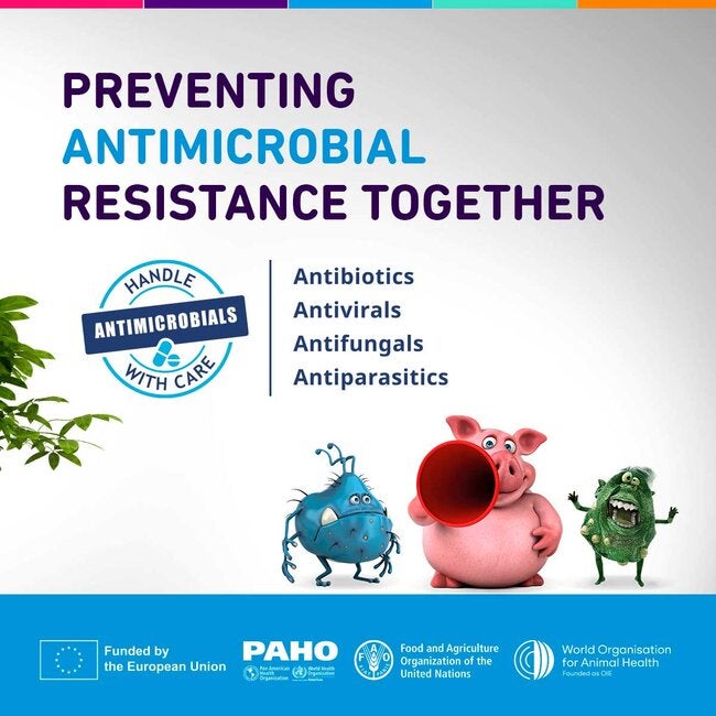 What is Antimicrobial Resistance? 