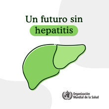 Vacunas Contra La Hepatitis | OPS/OMS | Organización Panamericana De La ...