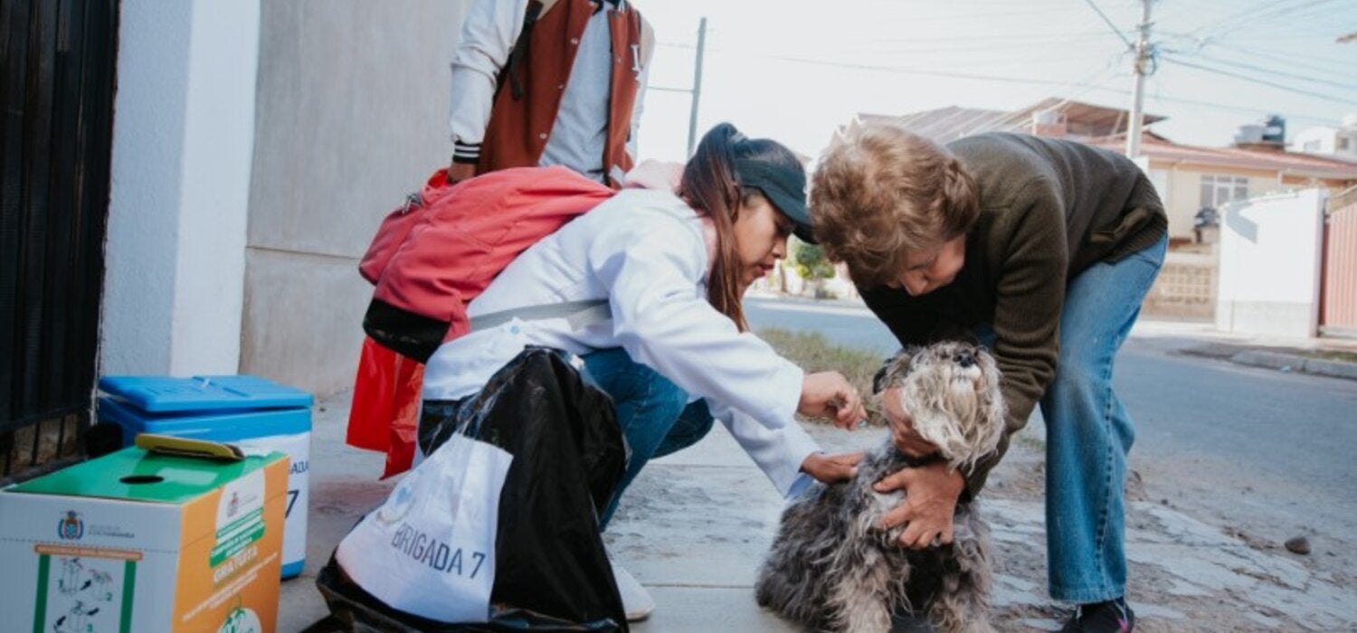 Health worker in Bolivia vaccinates a dog on the street while its owner holds it