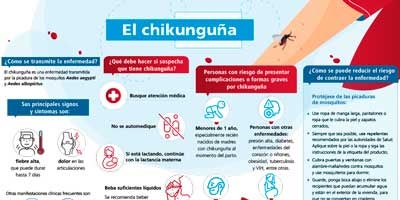 Chikungunya - OPS/OMS | Organización Panamericana de la Salud