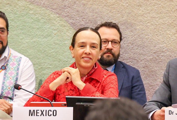 Francisca Elizabeth Méndez Escobar, Representante Permanente de México ante Naciones Unidas en Ginebra